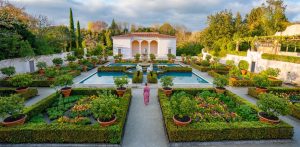 Hamilton gardens